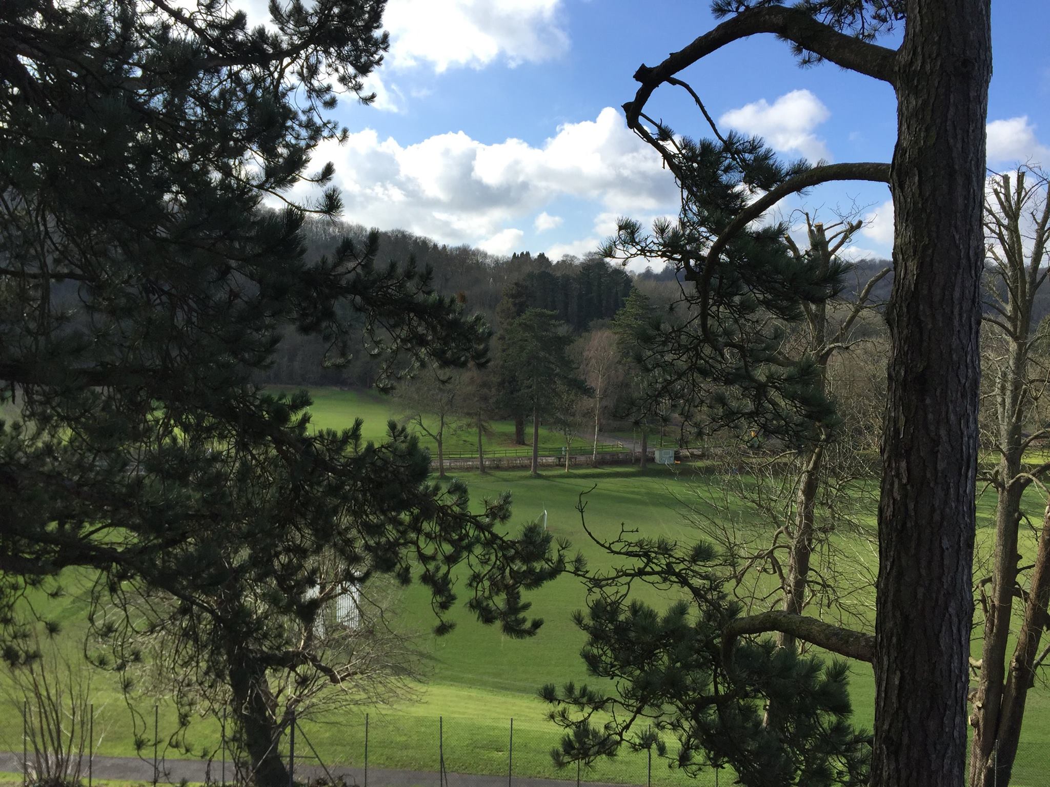 Caterham Wildcats High Ropes and Climbing | Caterham