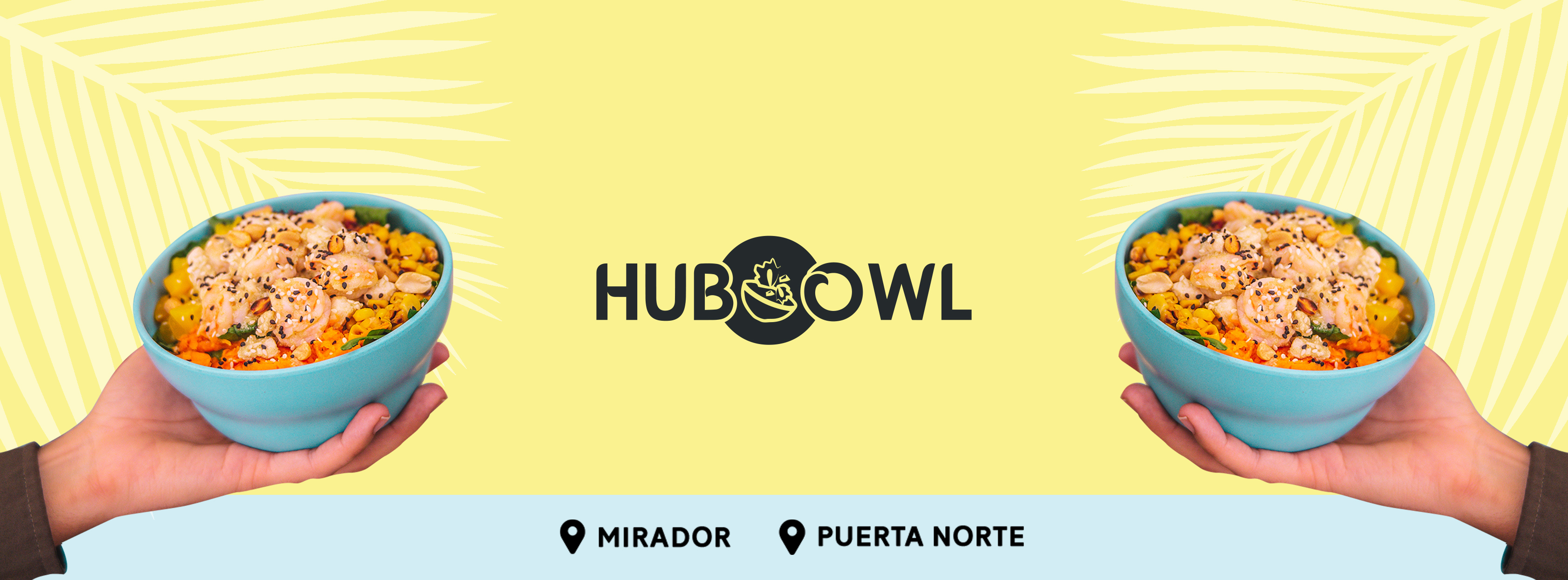 Hubowl | Chihuahua