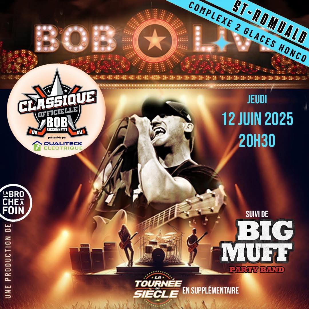 BIG MUFF - party band