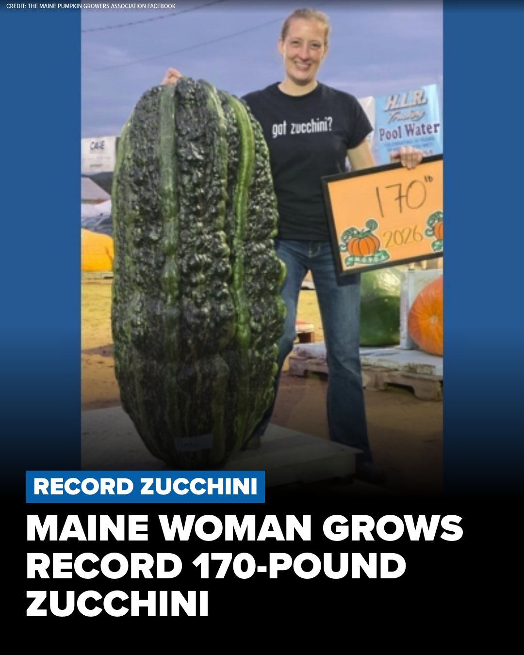 Sarah Whitty's zucchini, named Secretariat, broke the North