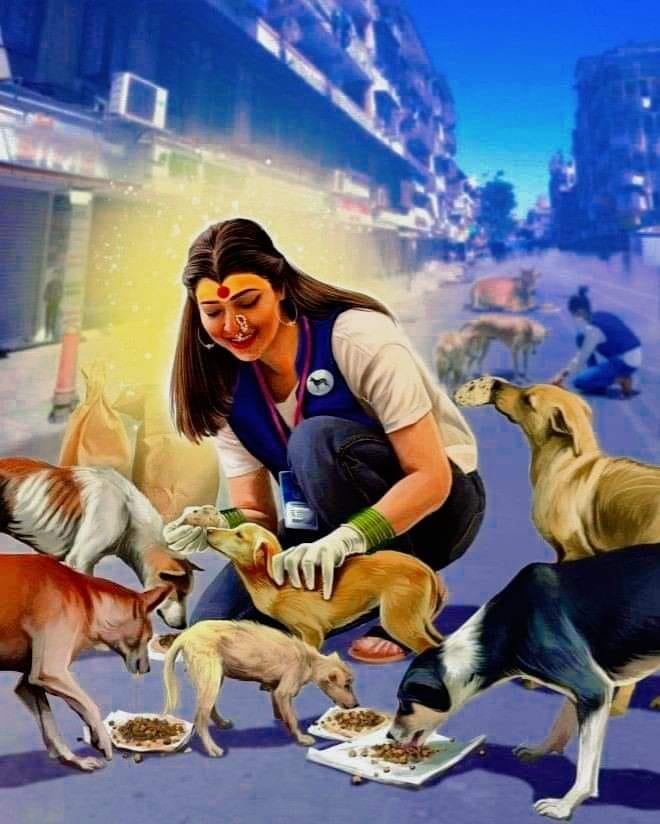 Kolkata Animal Care ( K A C )