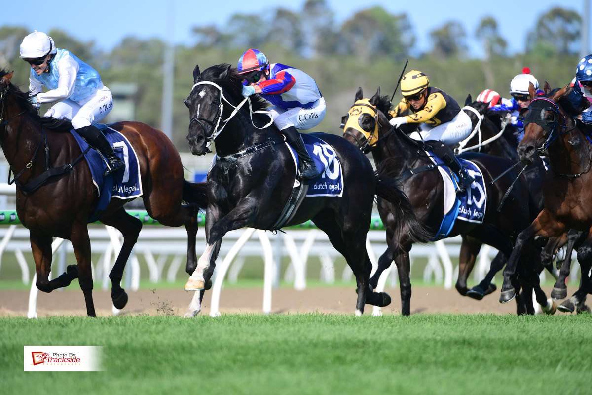 Currie Racing | Toowoomba QLD