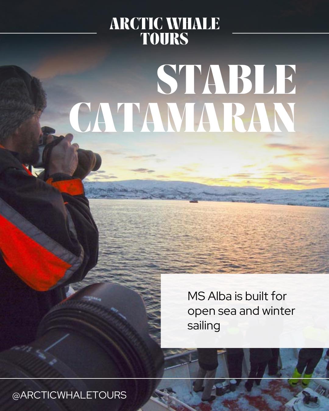 Arctic Whale Tours | Stø