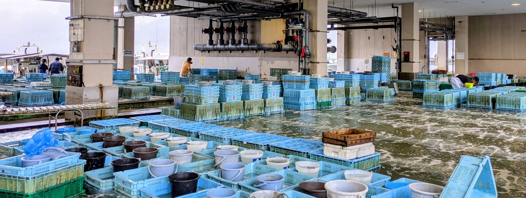 明石 浦 漁業 協同 組合