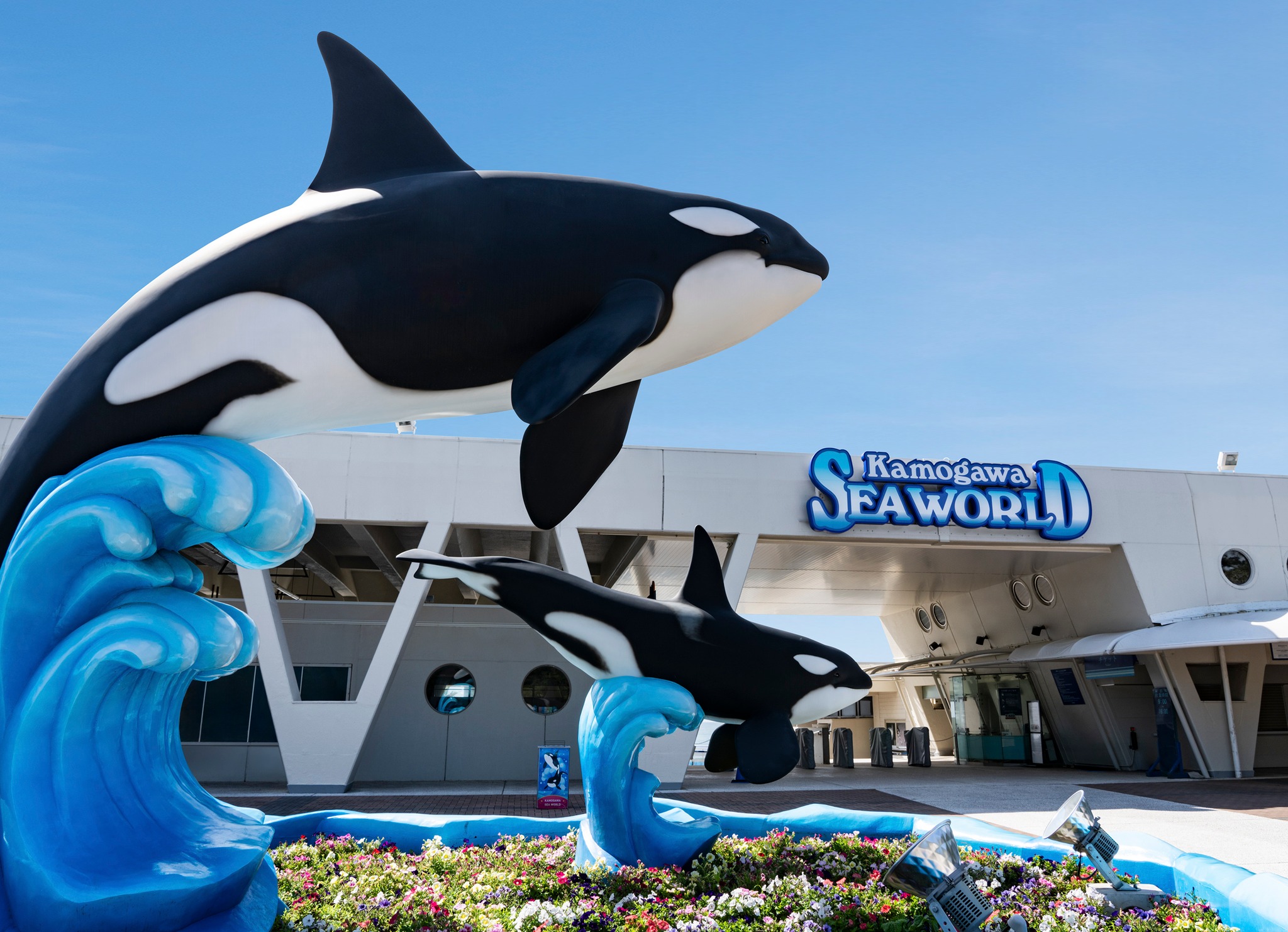 鴨川シーワールド Kamogawa Sea World - 鴨川シーワールド Kamogawa