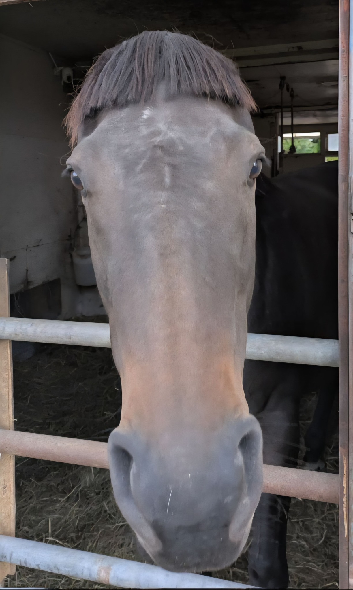 After all the comments on... - Foxwood Farm Equestrian Centre | Facebook