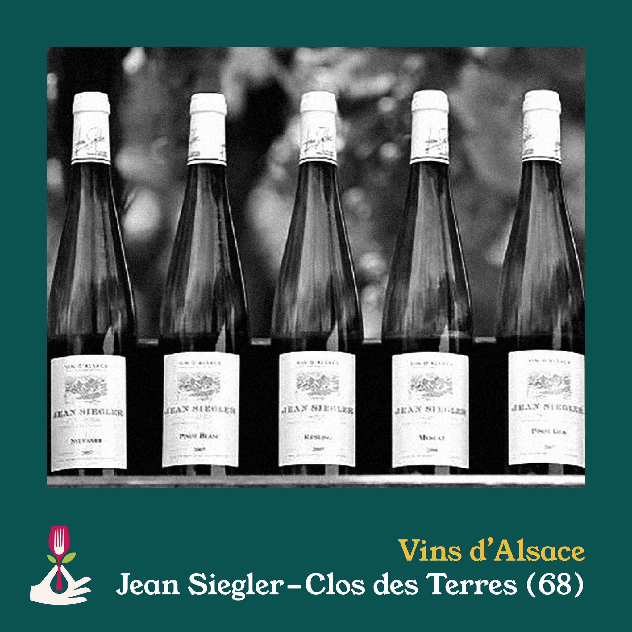 Les Epicuriales d'Auvergne - 👀 PRÉSENTATION PRODUCTEURS 👀 De la vigne ...