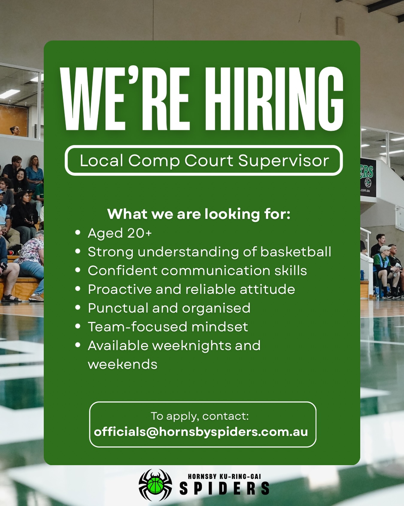 Hornsby... - Hornsby Ku-Ring-Gai Spiders Basketball