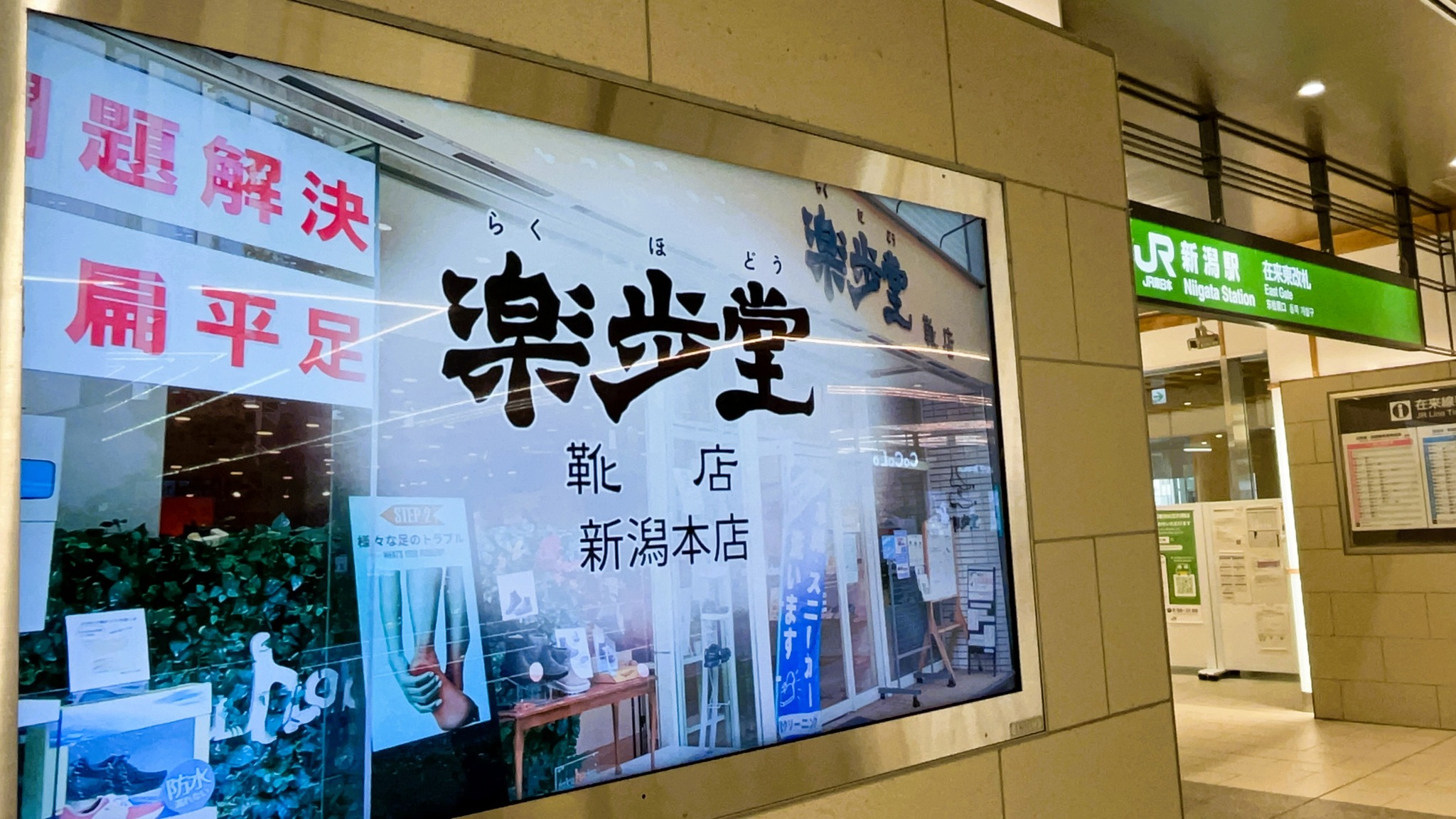 活動歴および当時の関連ビジュアル記録