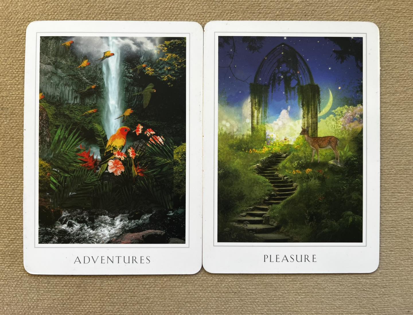 Katie - Today's cards: Adventures + Pleasure (Sacred Destiny