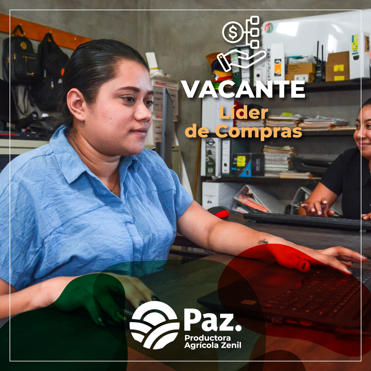 Productora Agrícola Zenil - 📣 VACANTE: Lider de Compras ...