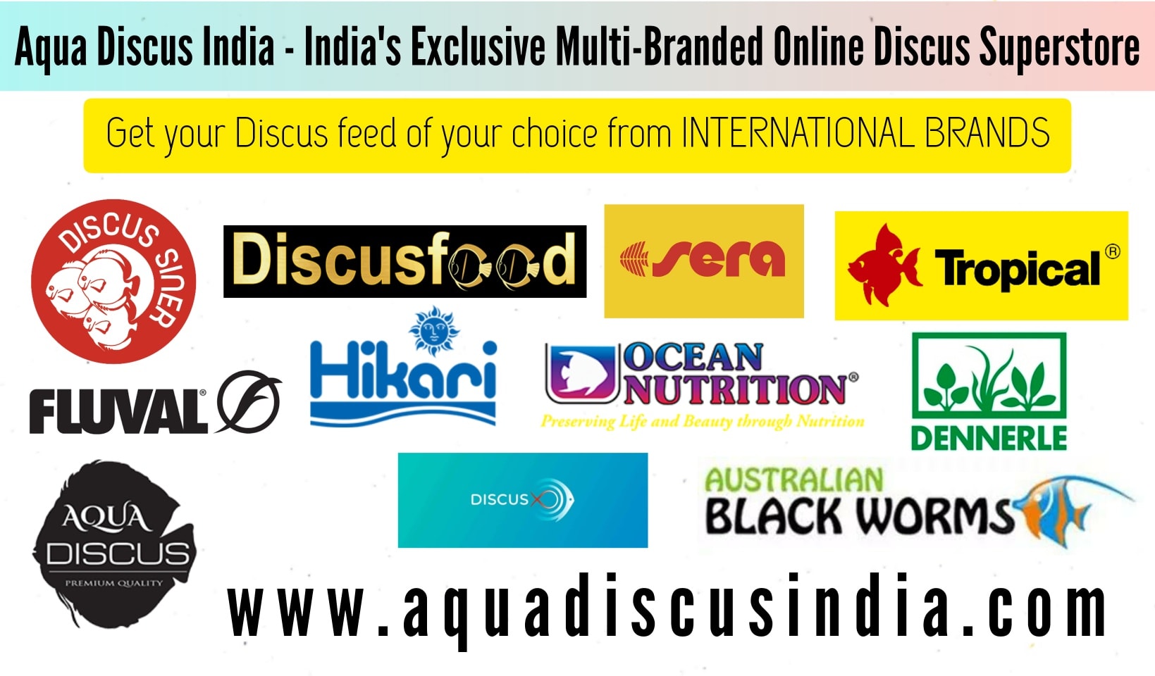 Aqua Discus India - We ️ Discus Keeping. Hence is the brand value to ...