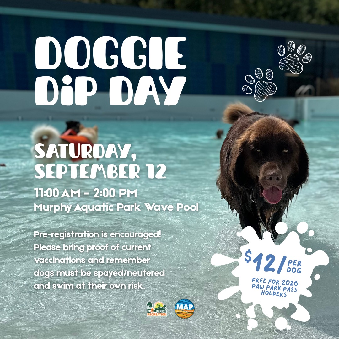 Washington Township's Doggie Dip Day at Murphy Aquatic Park