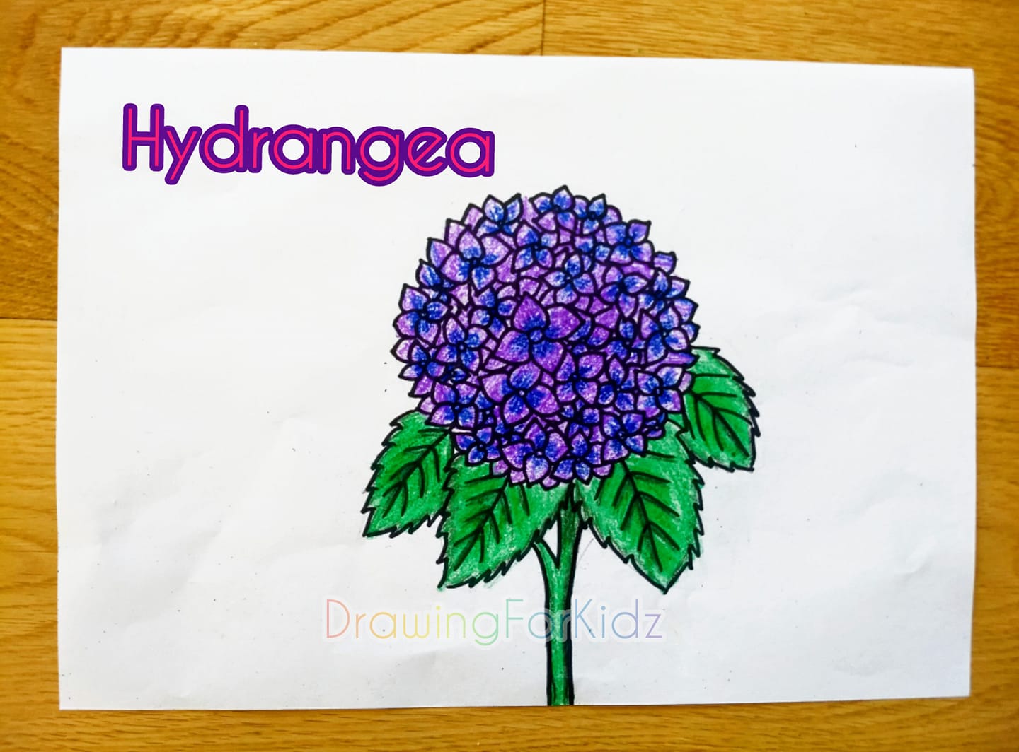 Drawing - How to Draw a Hydrangea Flower Please watch tutorial in my ...