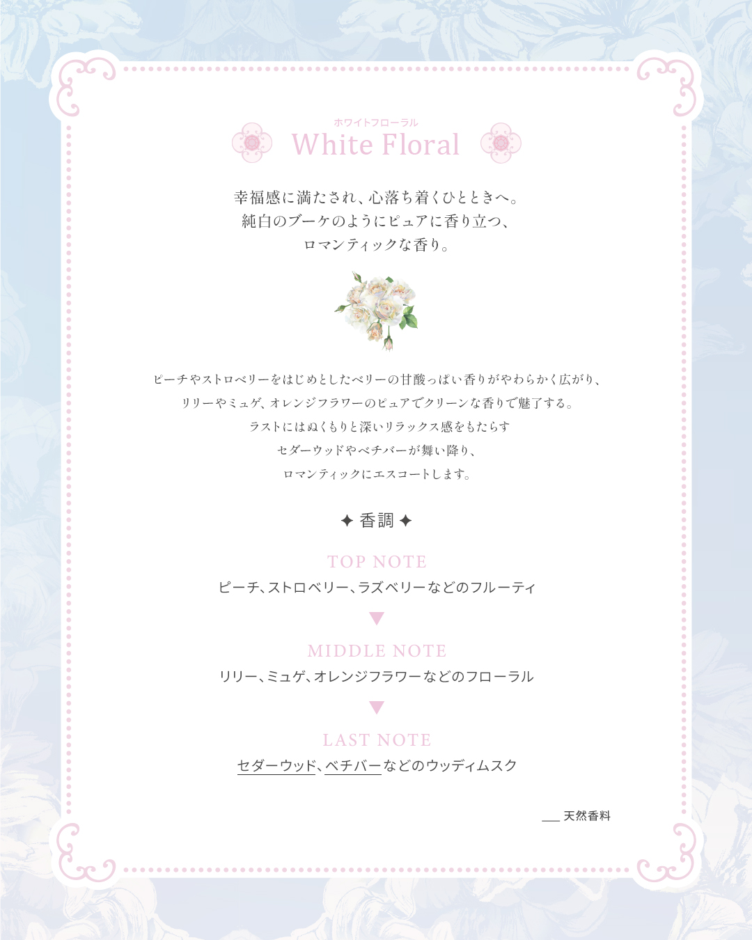 JILL STUART Lifestyle Limited Items 〜White Floral Retreat〜 7月3