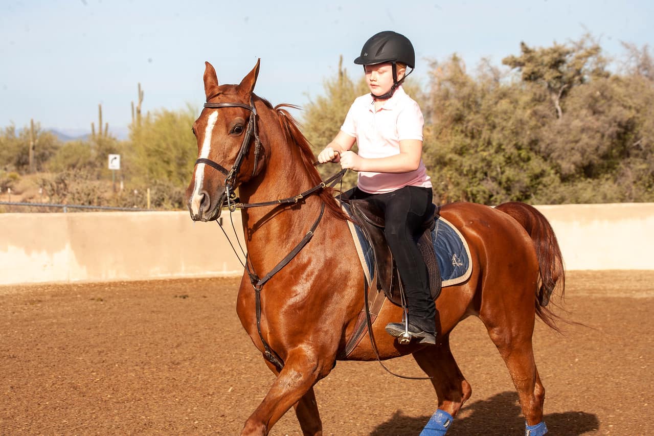 Apex Riding Academy added a new photo. - Apex Riding Academy