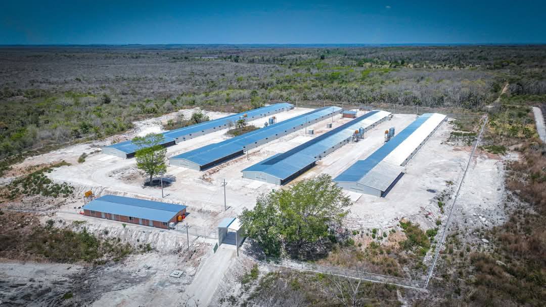 Automatización y mantenimiento en equipo avícolas y porcicolas D&E