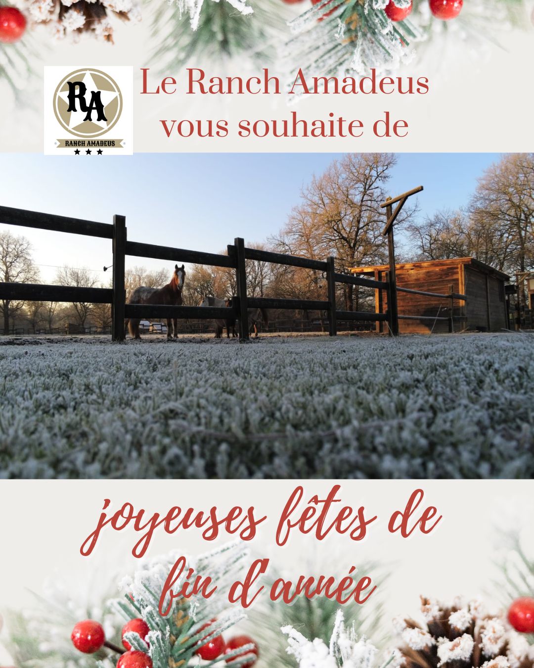 Le Ranch Amadeus | Saint-Paul-en-Born
