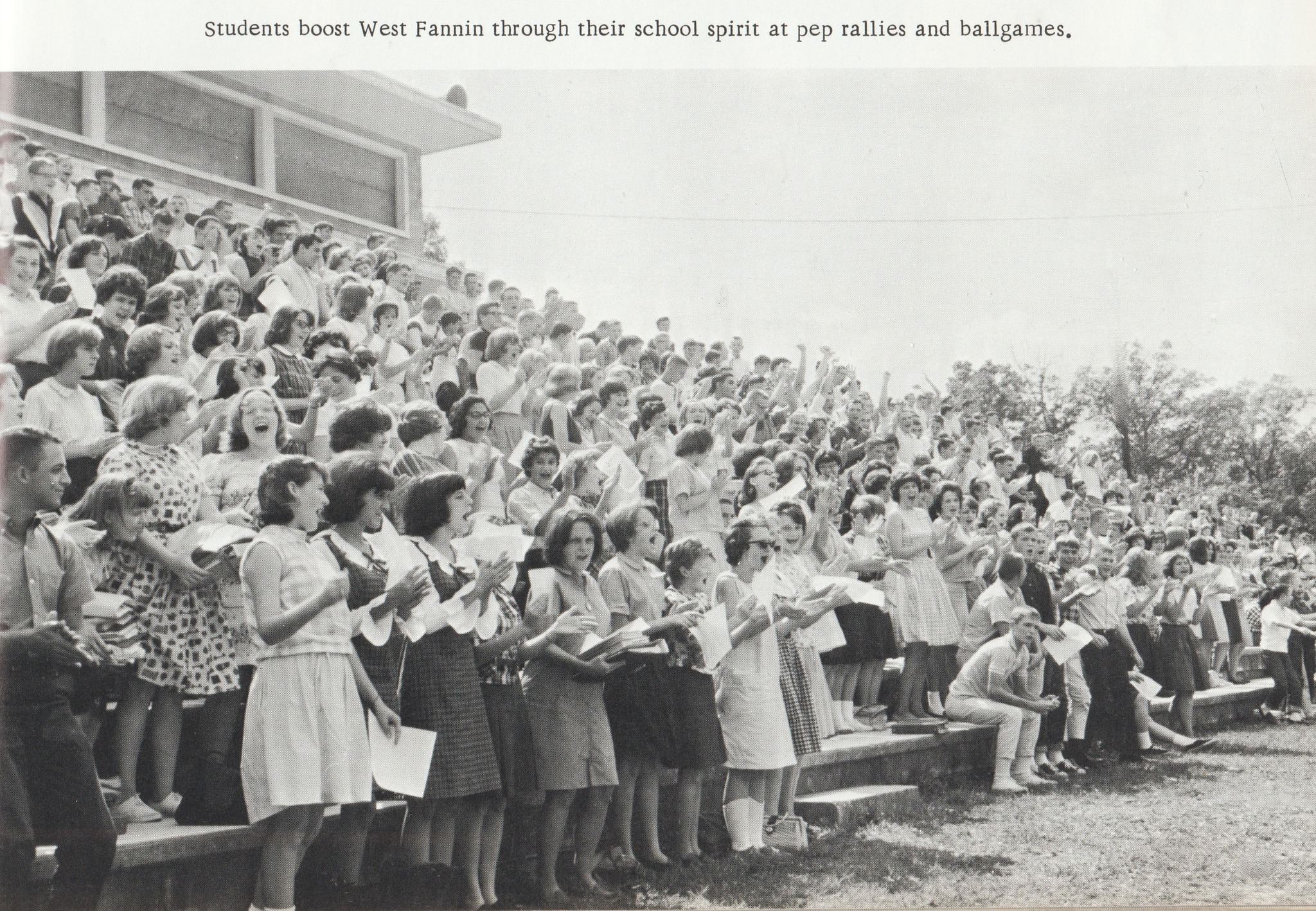Fannin County High School 1985