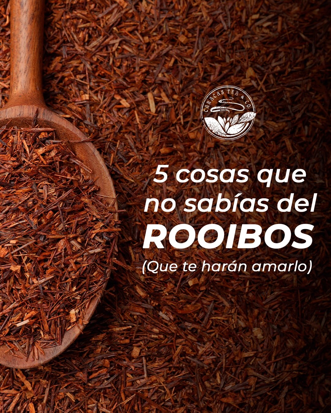El Rooibos es una infusión o tisana,... - Caracas Tea & Co. | Facebook