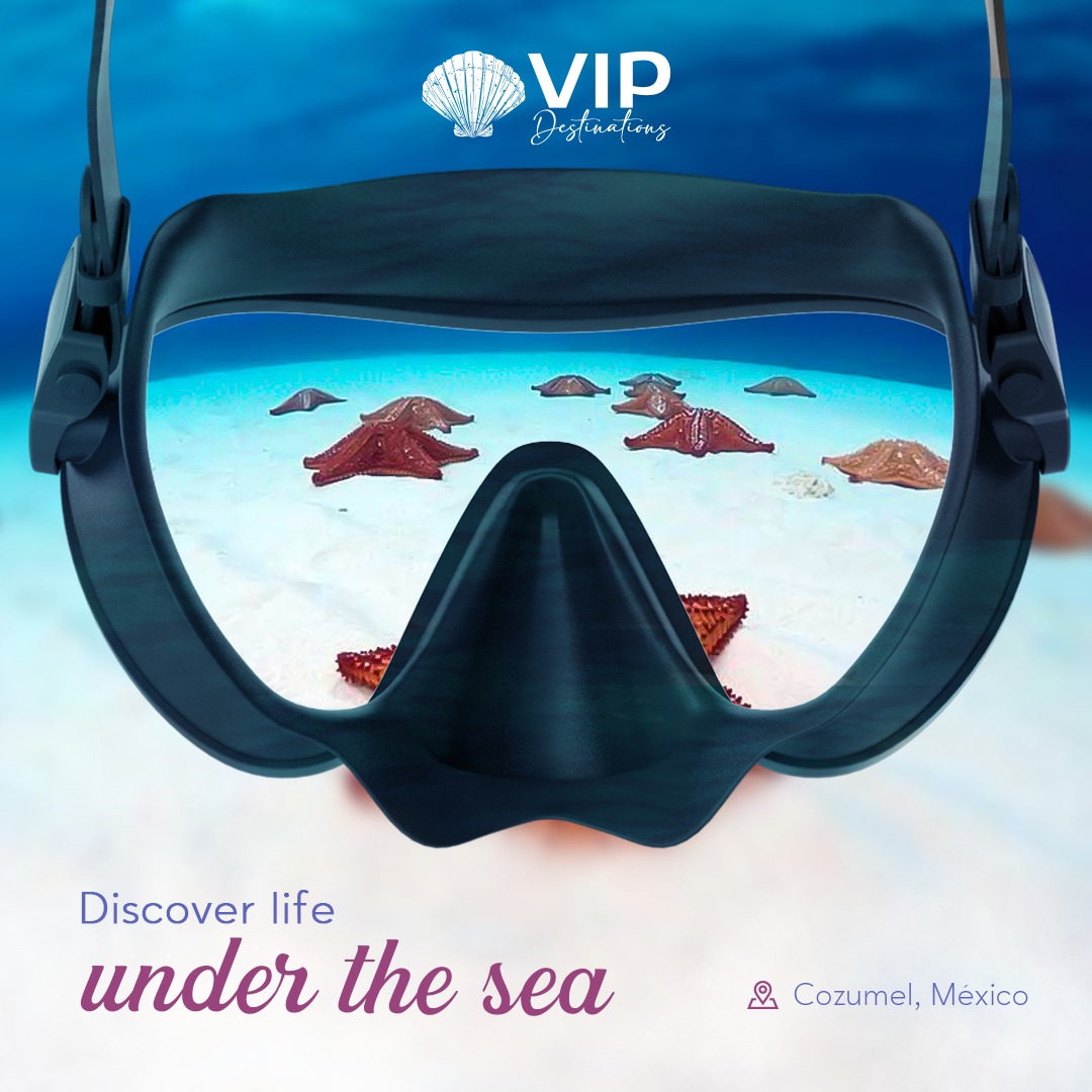 VIP destinations
