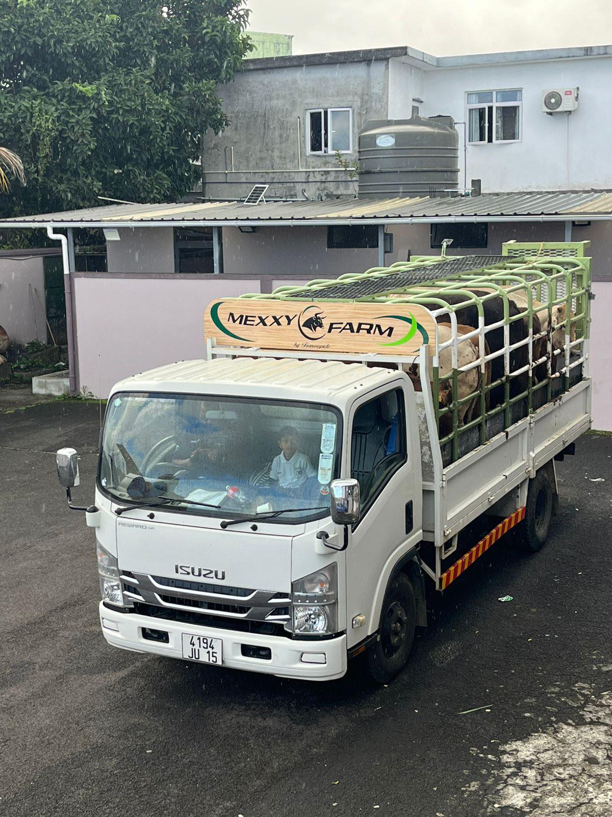 はやし Mexxy Farm 2026🏴🖤 MEXXY FARM Азиедня REMFINO ISUZU r ン 4194 JU15 15