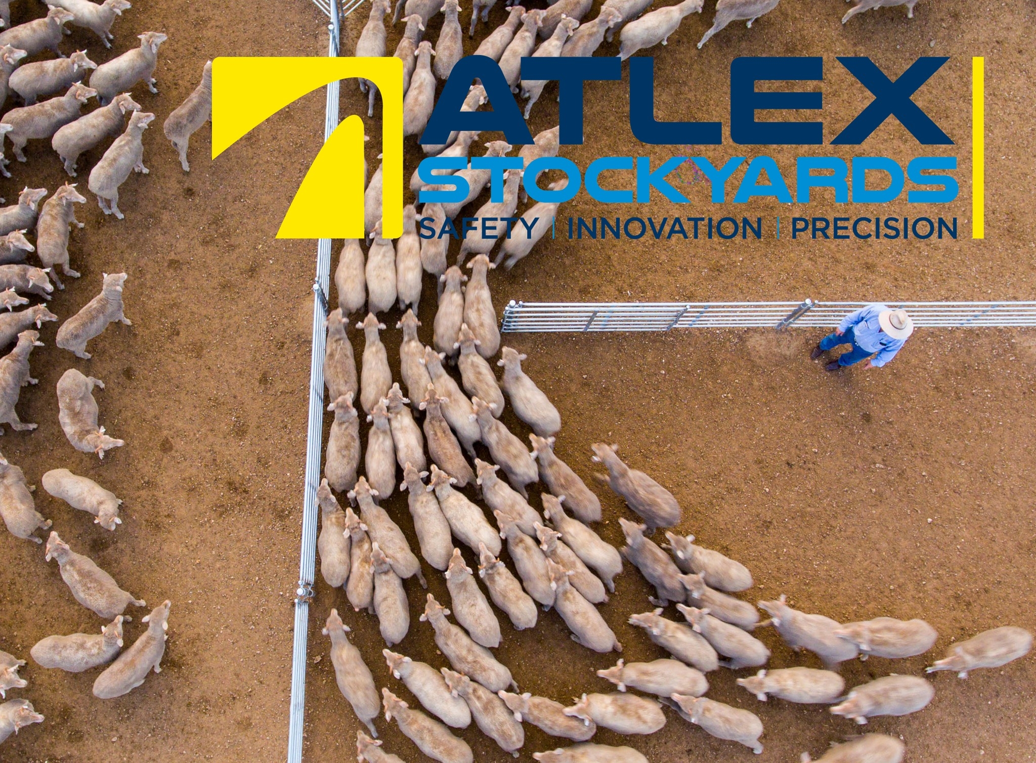 3.6m HD Permanent Ramp with a 1.6m Flat... - Atlex Stockyards | Facebook