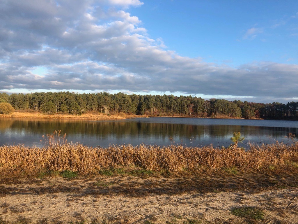 Get acquainted with nature along one... - Redbrook Plymouth
