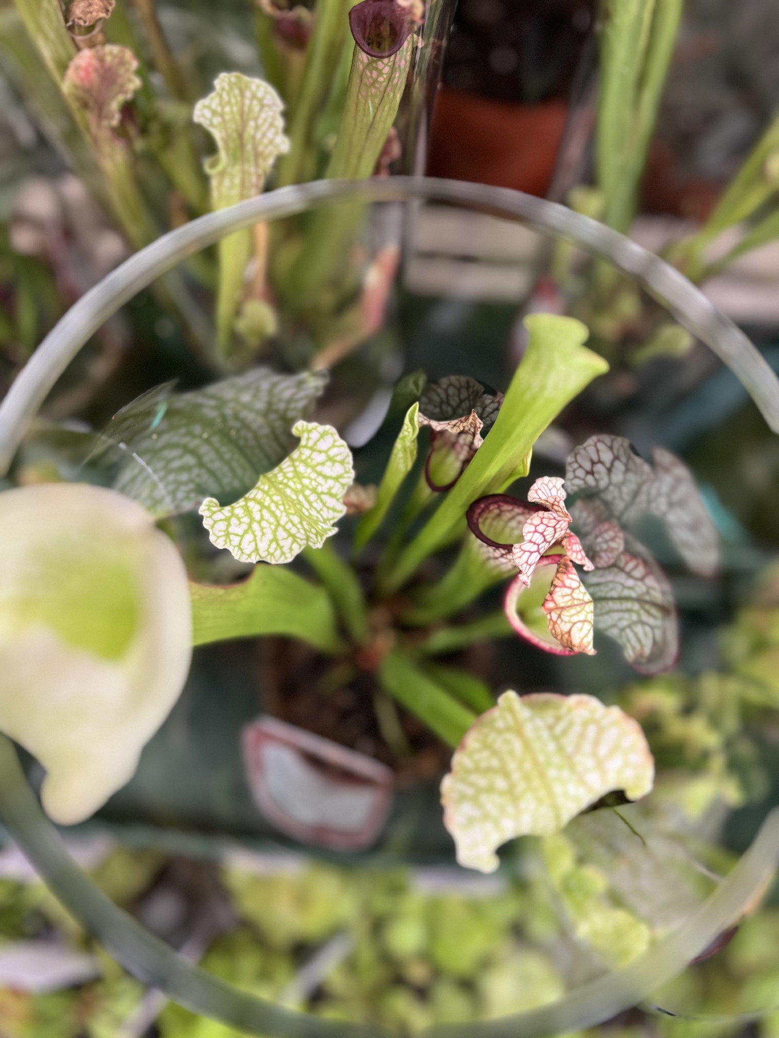 Highfield Garden World | Gloucester