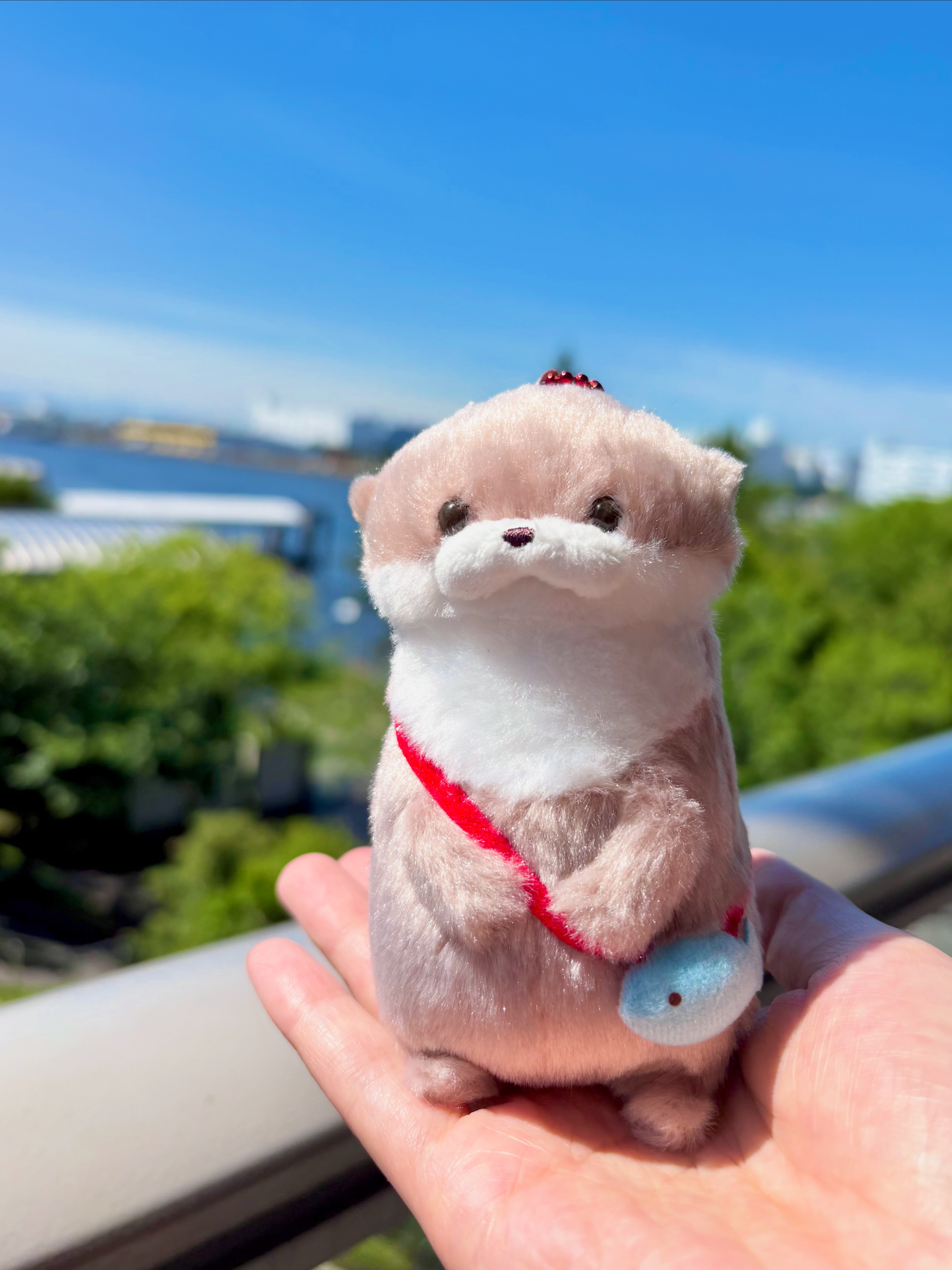 ≪8月の新商品 / New products in August≫ ☆くったり柴犬元気