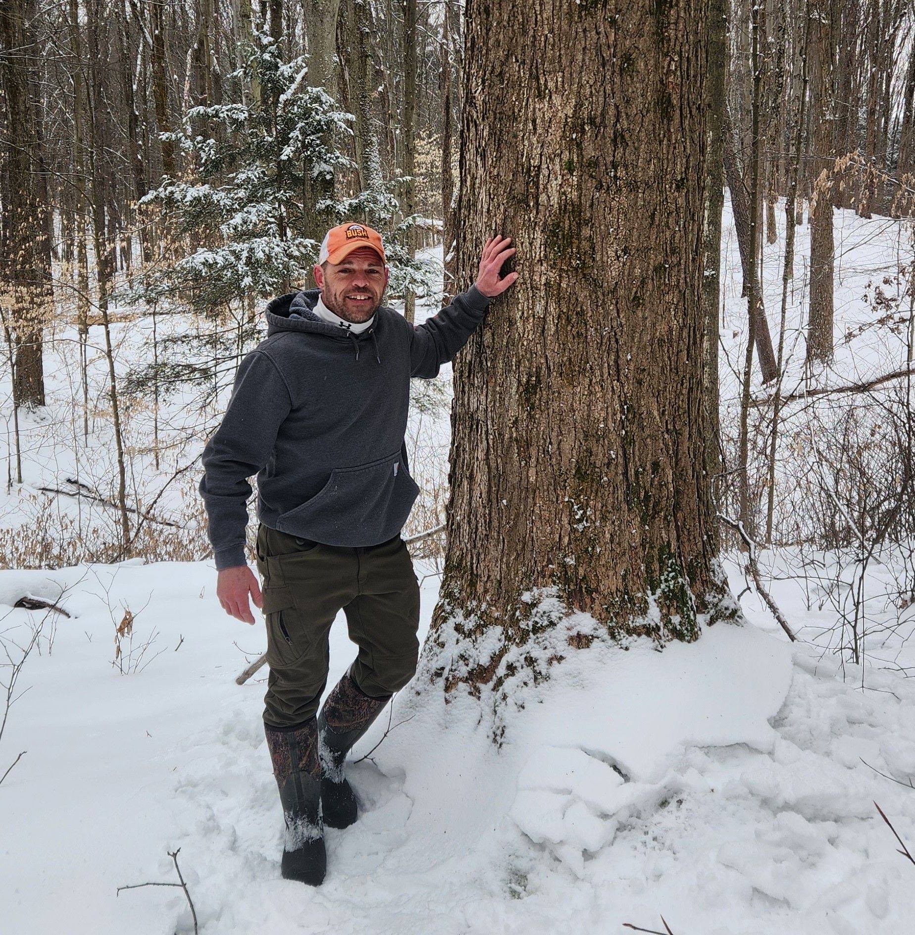Bush logging & Forestry LLC | Homer NY