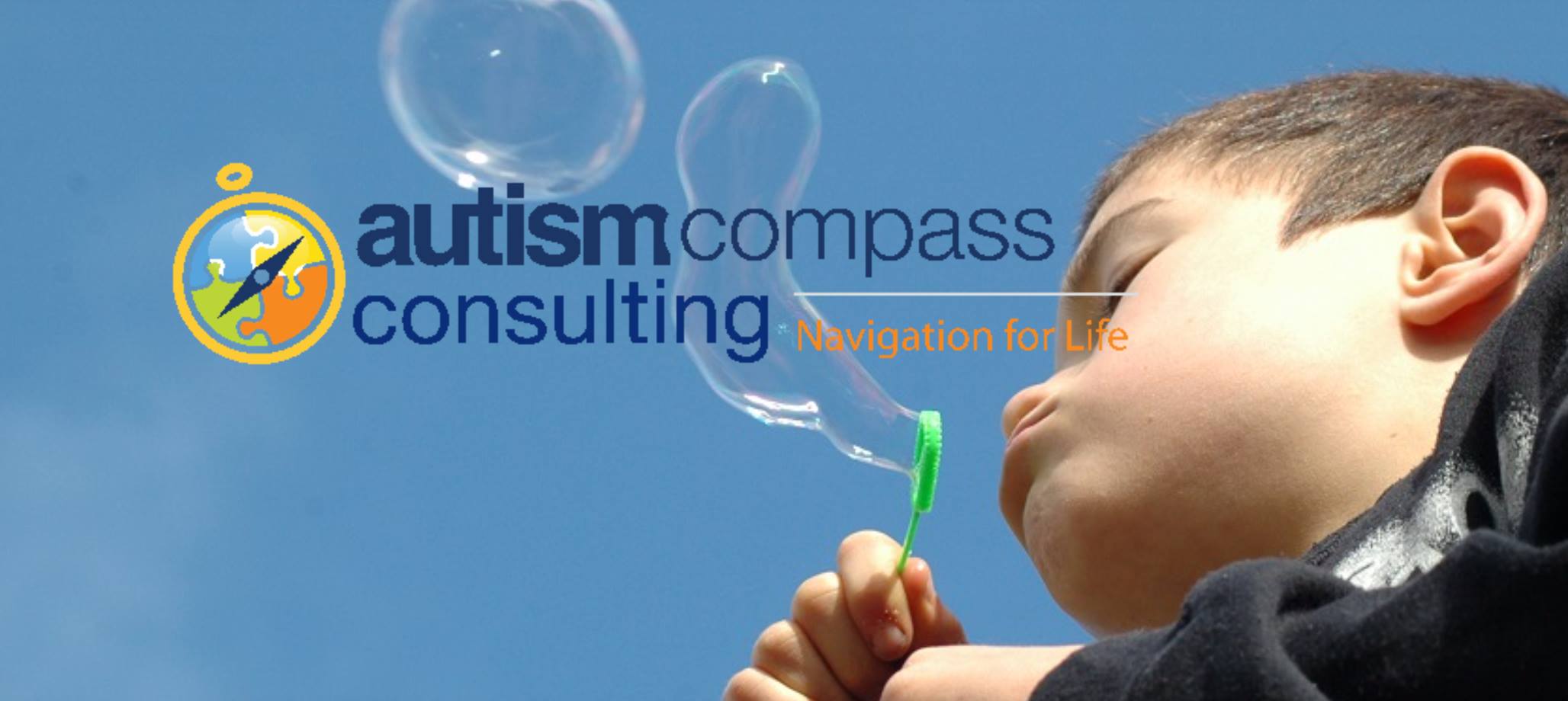 Autism Compass Consulting | Plymouth MI