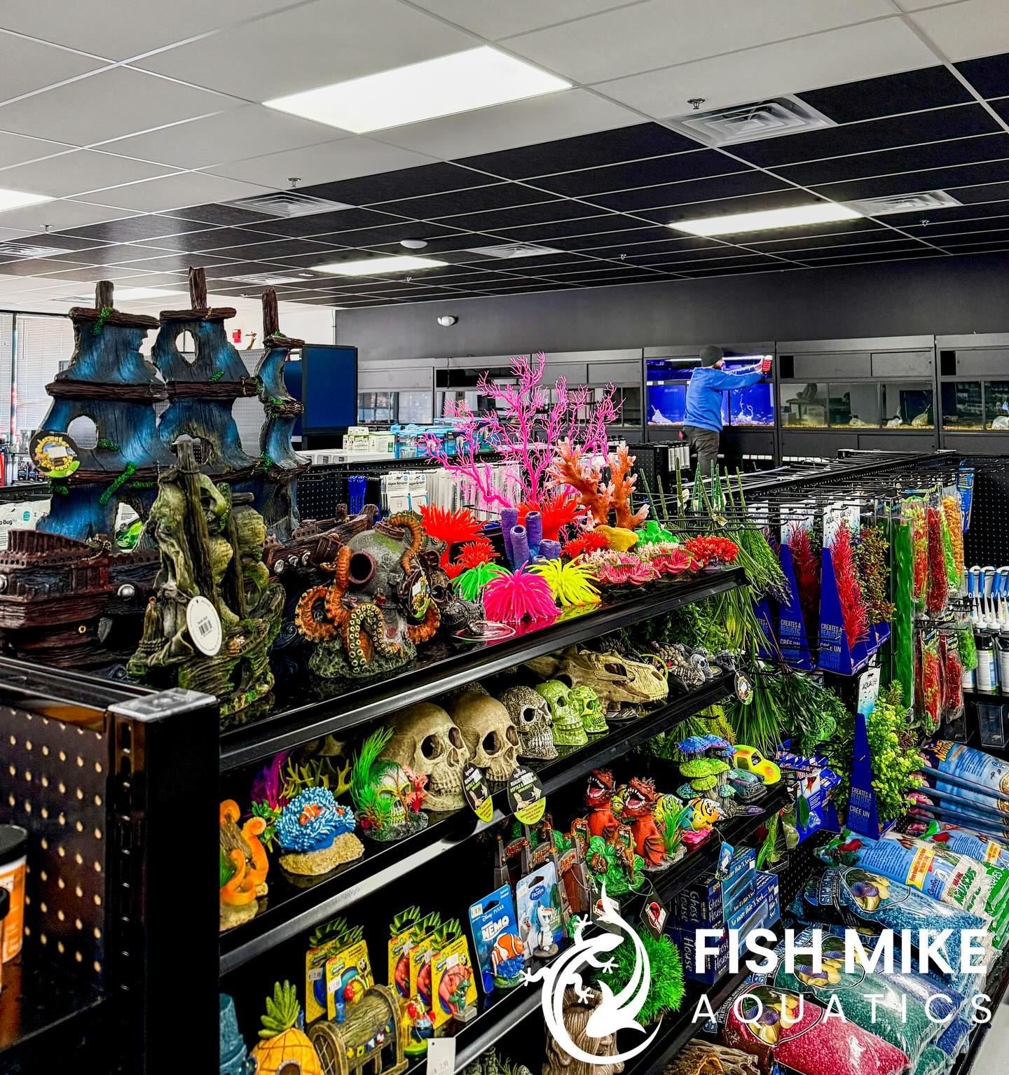 We are currently tackling the final... - Fish Mike Aquatics | Facebook
