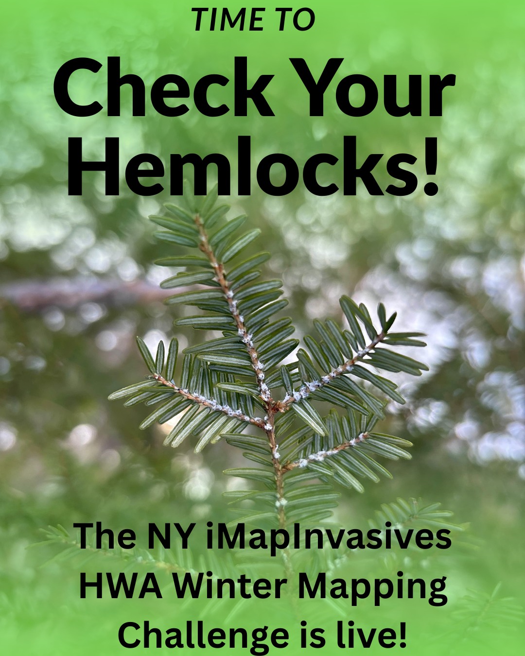 The 2026 Winter Mapping Challenge is... - NY iMapInvasives | Facebook