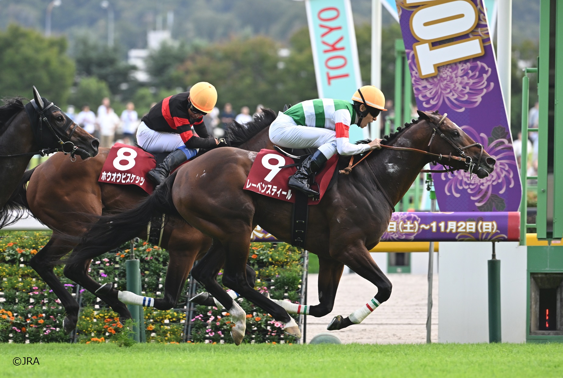 JRA（日本中央競馬会） - 1999年の札幌記念（GII）を優勝したのは芦毛
