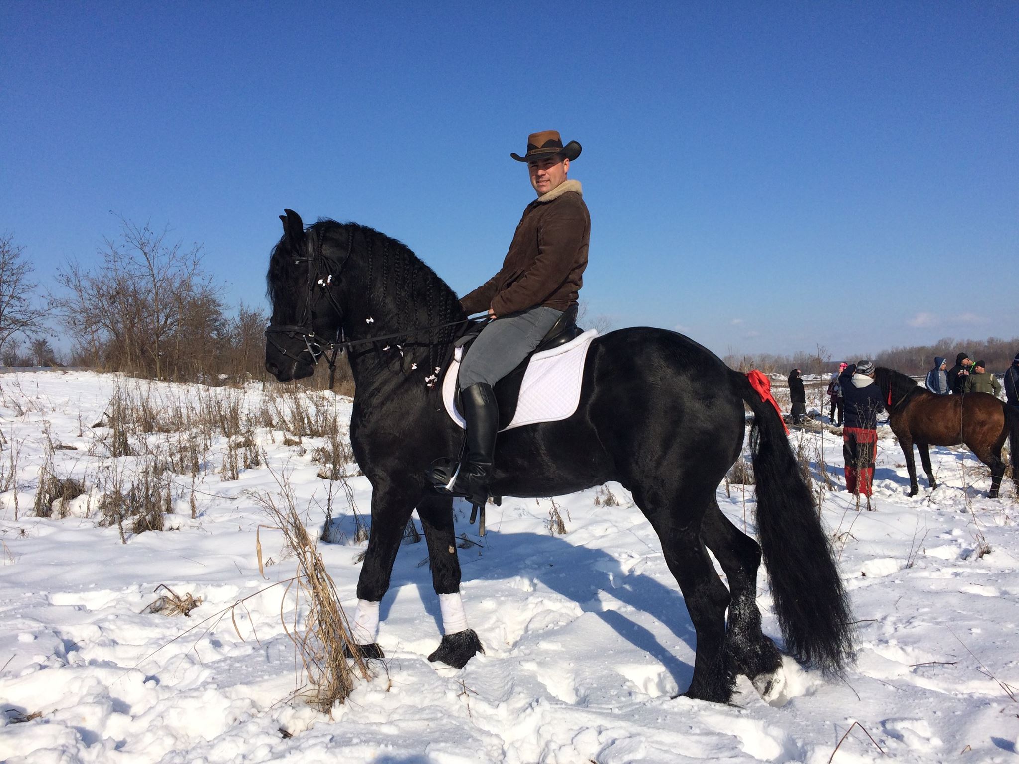 cateva piese frumoase din ferma... - ACS Hilal's Riders