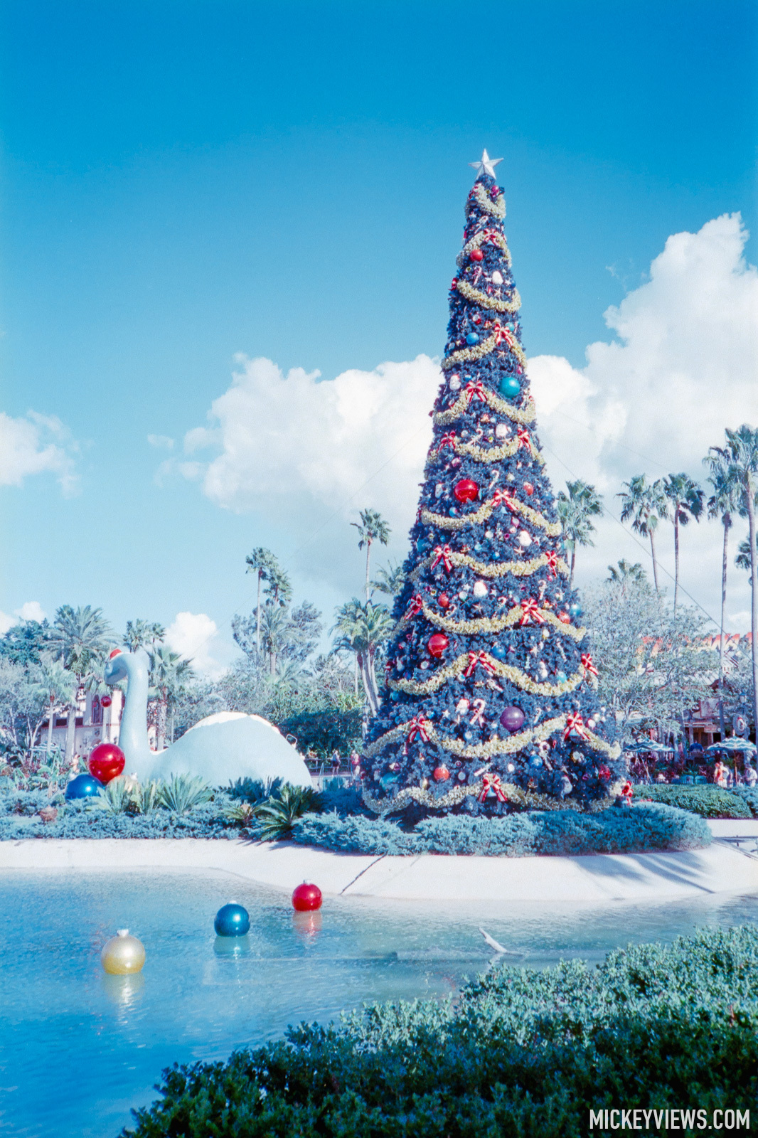 Mickey - Gertie and the Tree 🦕🎄 - Disney's Hollywood Studios - 35mm ...