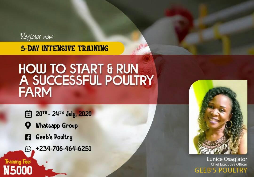 Geeb's Poultry