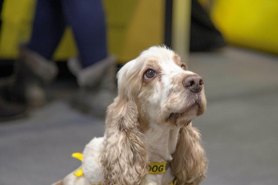 Tiffany Stratton reveals her dog's name 🐾 Crumbl