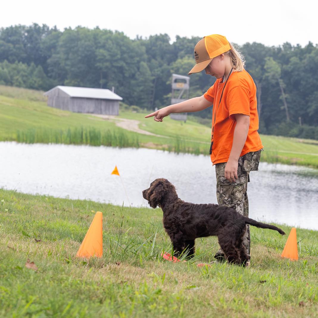 Roux girl 2026 trip to North Dakota. She retrieved a double banded duck ...