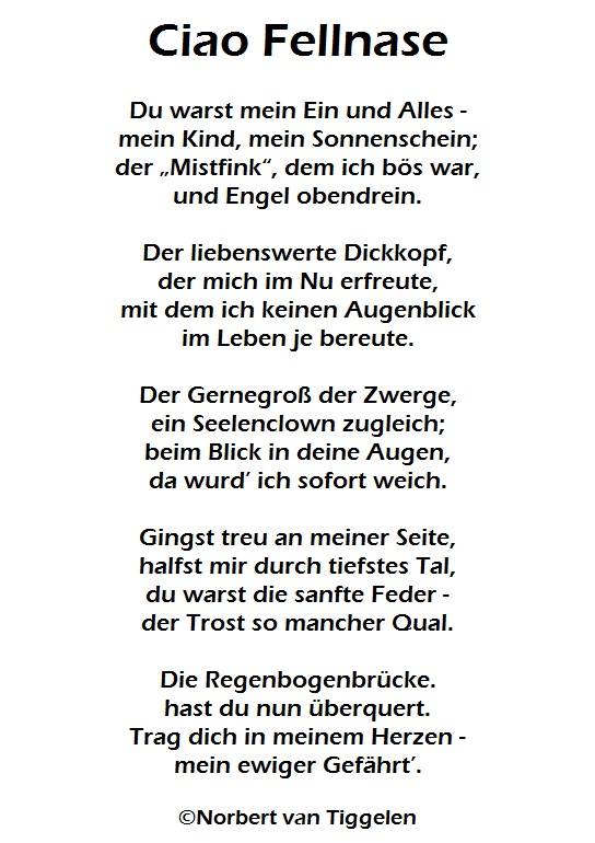 Ciao Fellnase Du Warst Mein Ein Und Alles Gedichte Von