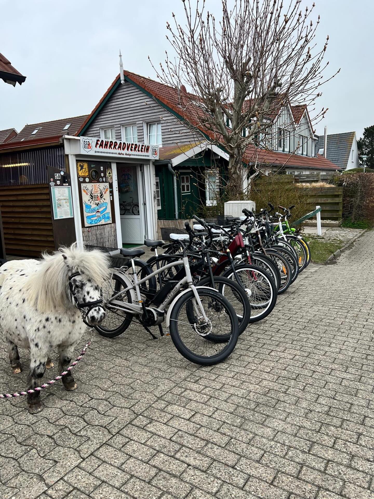 autoreifen aufpumpen mit fahrradpumpe Sobtoe Elektrische Luftpumpe 180PSI 20000mAh Wiederaufladbarer Pumpe Elektrischer Kompressor USB/LED-Licht für Auto Fahrrad Motorrad BäLle,USB-Powerbank Multifunktions Auto & Motorrad Bulls Fahrrad, € 220,- geruchsdicht Farbe:MOONLIGHT BLACK