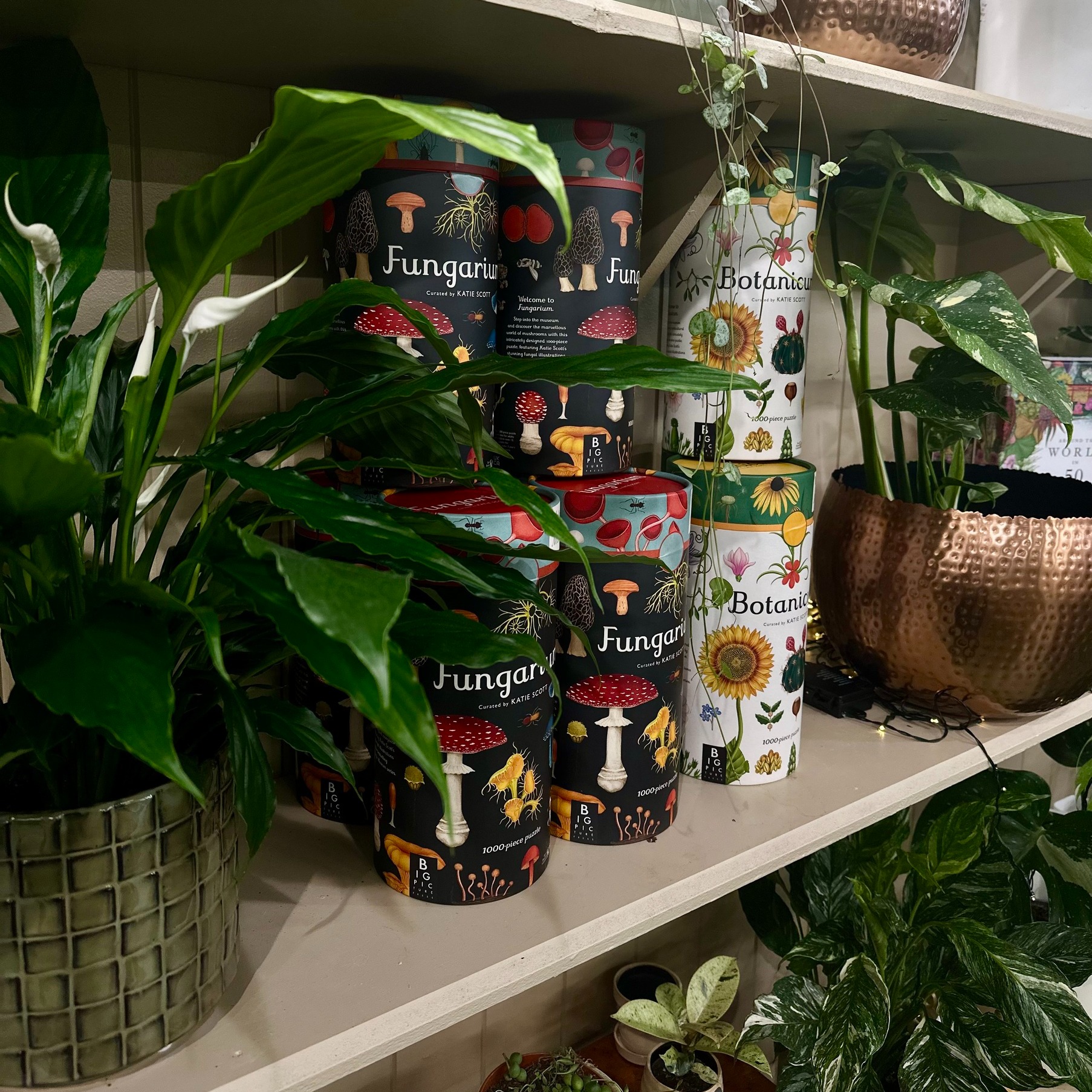 Highfield Garden World | Gloucester