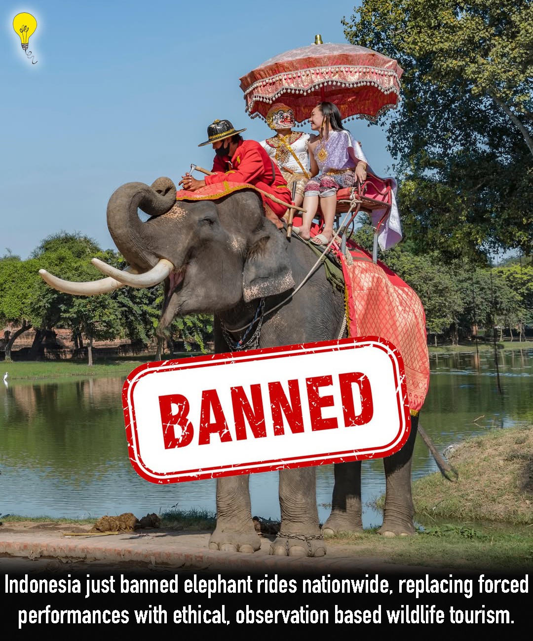 5 Unknown Facts - 🐘🌿 In January 2026, Indonesia quietly... | Facebook