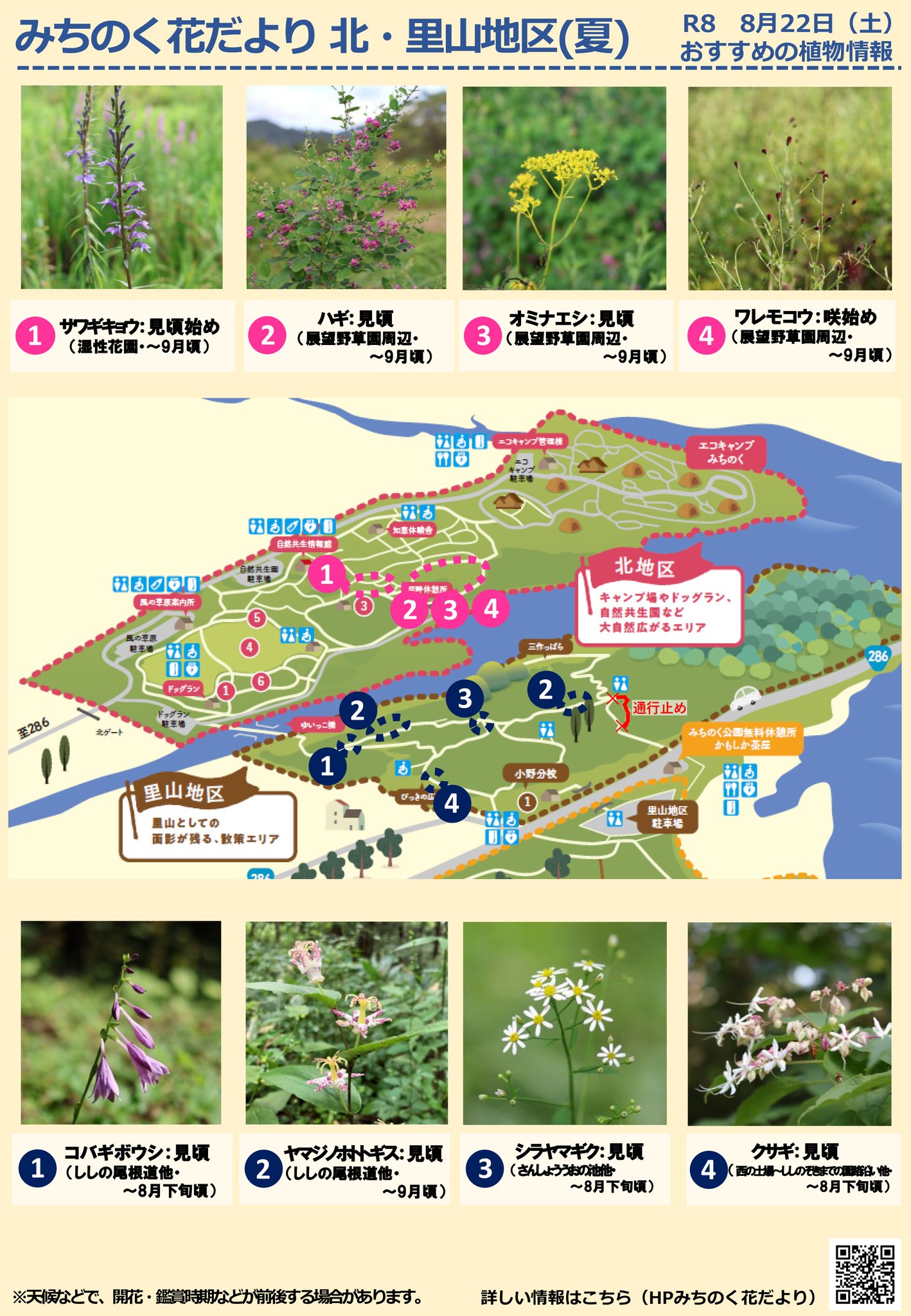 みちのく 湖畔 公園