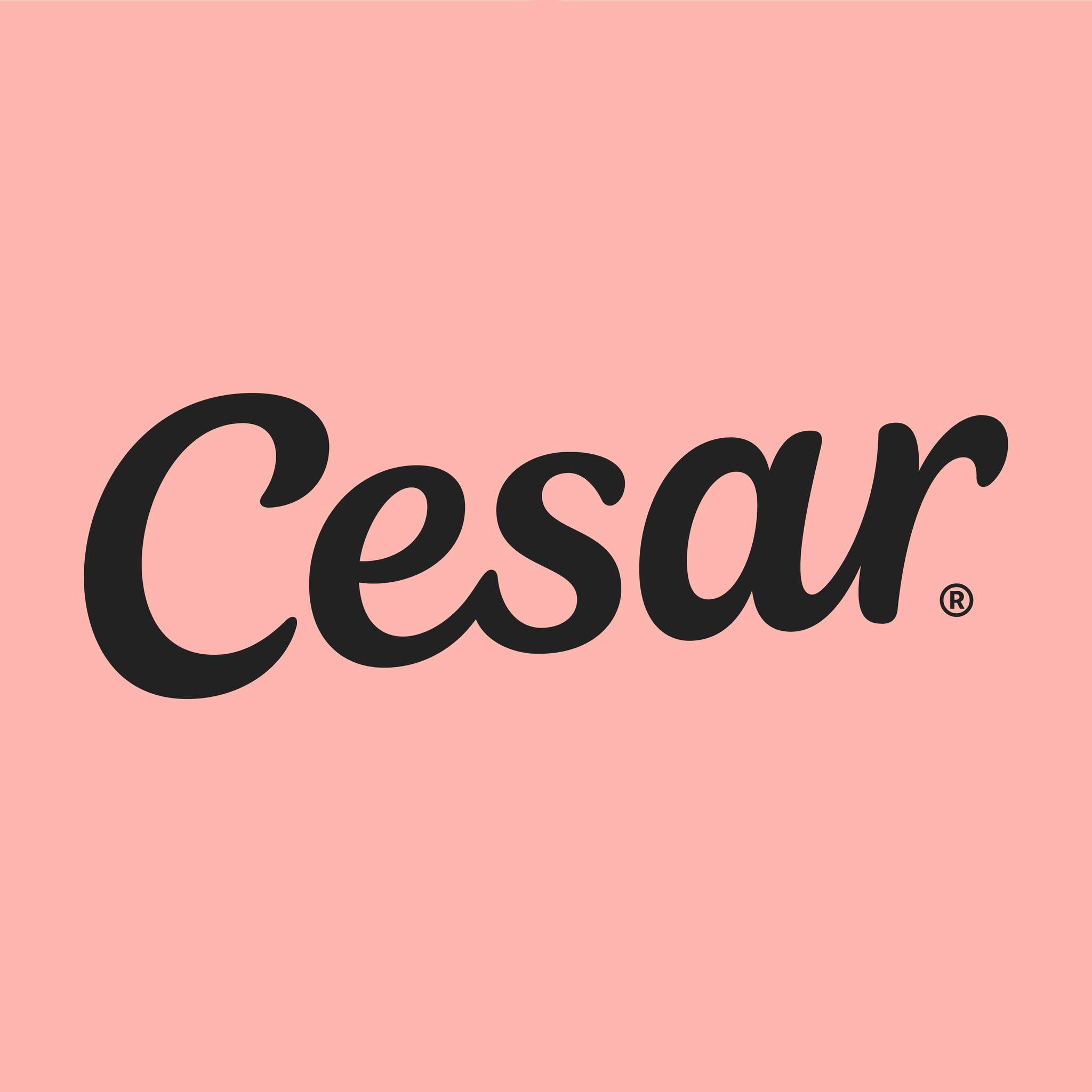How many reasons does Wilson have to love CESAR? We tried counting, but ...