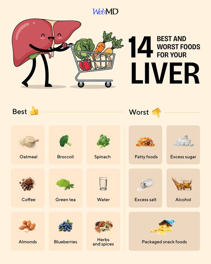 glutathione alcohol liver webmd Your works hard to filter toxins and support digestion. The foods you eat can help it thrive — or make it work harder. Learn which foods may support liver health and Beautywise Dual Action Skin