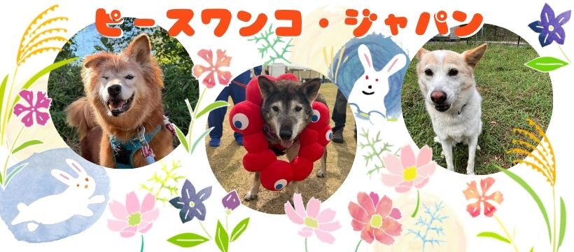 ピースワンコ・ジャパン | Jinseki-gun Hiroshima