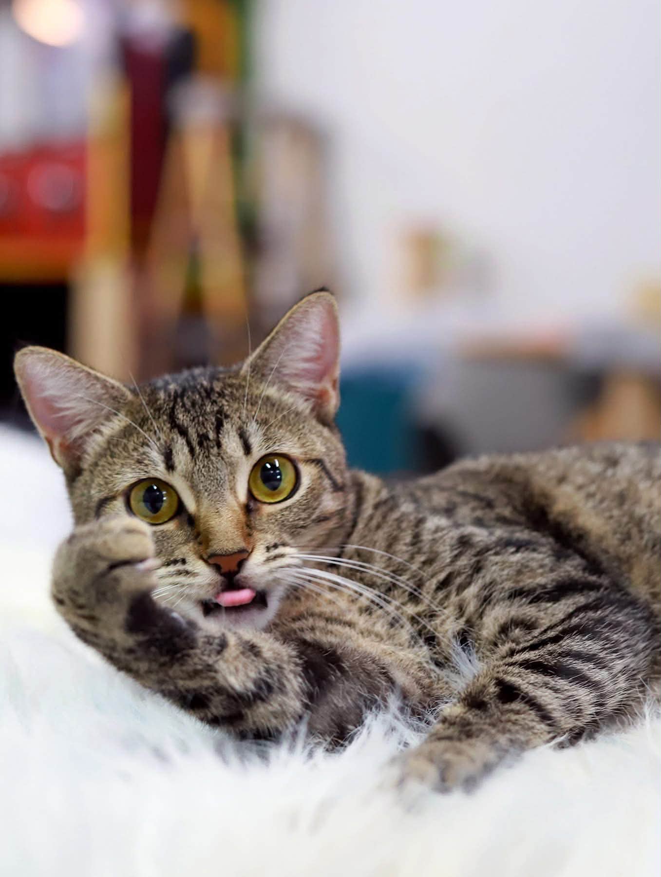 Tongue out, Thursday😜😝 the weekend is so, so very close, and if