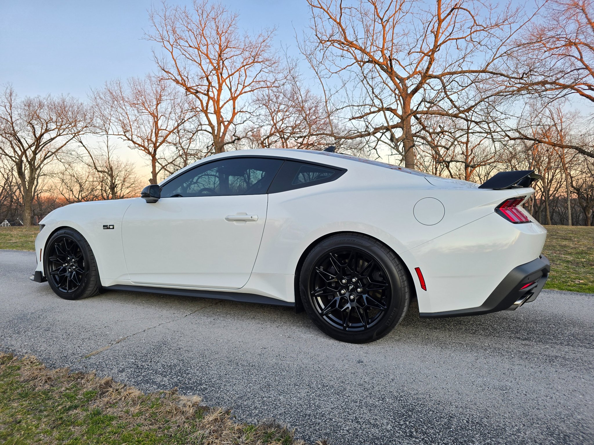 2024 Ford Mustang GT Premium Performance Package - Cars & Trucks ...